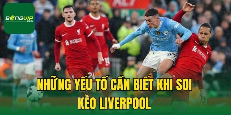 Những yếu tố cần biết khi soi kèo Liverpool